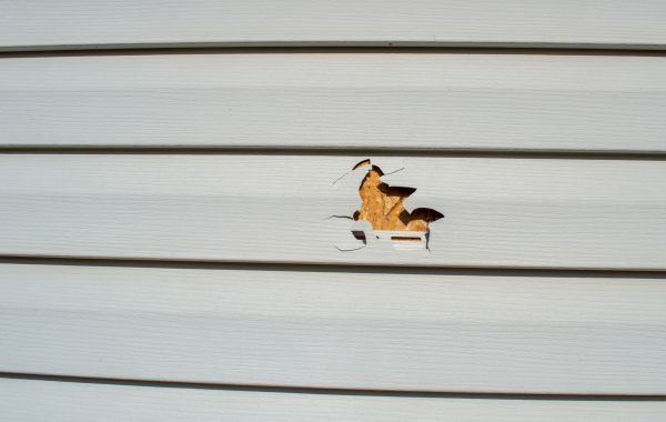 Cost of Siding Hole Repair in Hopkins