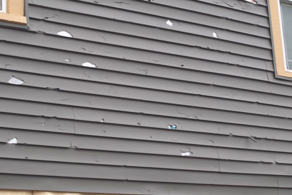 Cost of Damaged Siding Replacement in Hopkins