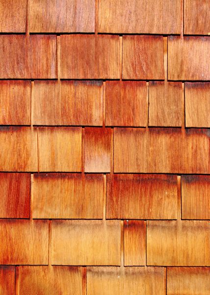Cost of Wood Siding Replacement in Hopkins