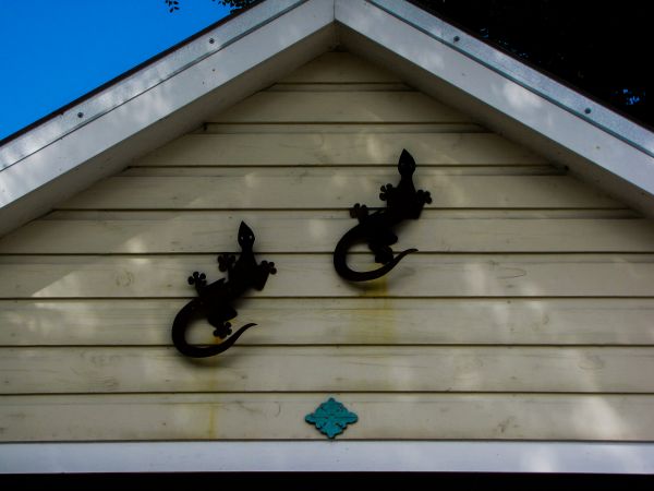 Cost of Shiplap Siding Installation in Hopkins